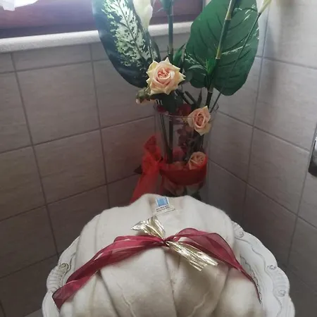 Bebeldar Jiudicissa Eleonora De Arborea Furtei